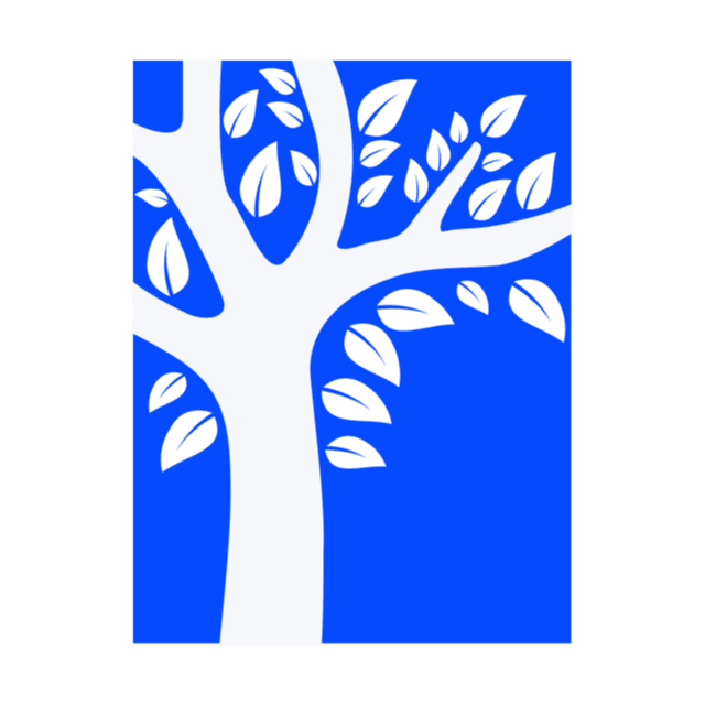 Navienty Team avatar